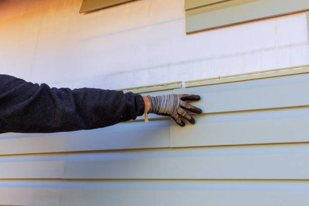 Best Custom Siding Design  in Searles Valley, CA